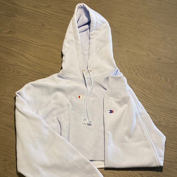 Light Blue Champion Cropped Hoodie - Picture 1 of 3